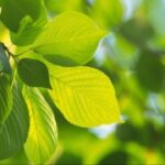 问鼎app的激励机制:如何保持用户的积极性 tp8v20et