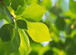 问鼎app的激励机制:如何保持用户的积极性 问鼎app的激励机制:如何保持用户的积极性